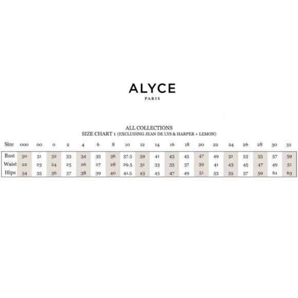 Alyce Paris Quarter Sleeved Bateau Neckline Crepe Lace A-Line Dress 27099 - Picture 9 of 9